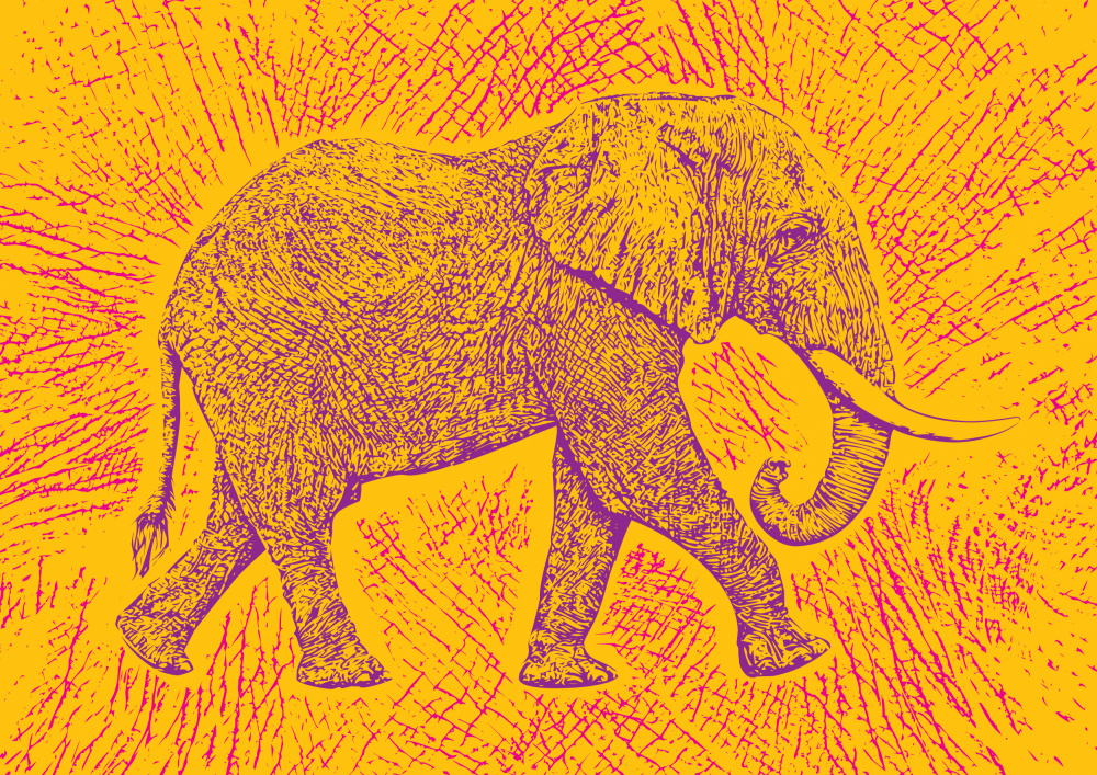 Africa Elephant texture pattern from Carlo Kaminski