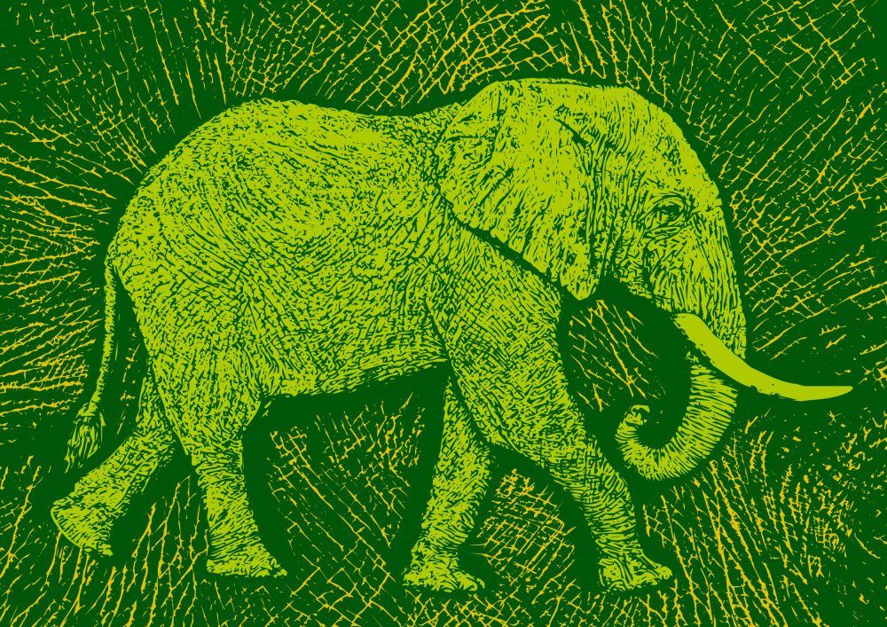 Africa Elephant texture pattern from Carlo Kaminski