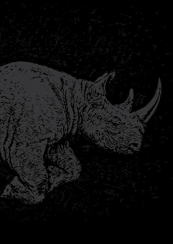 Black Rhino Charging from Carlo Kaminski
