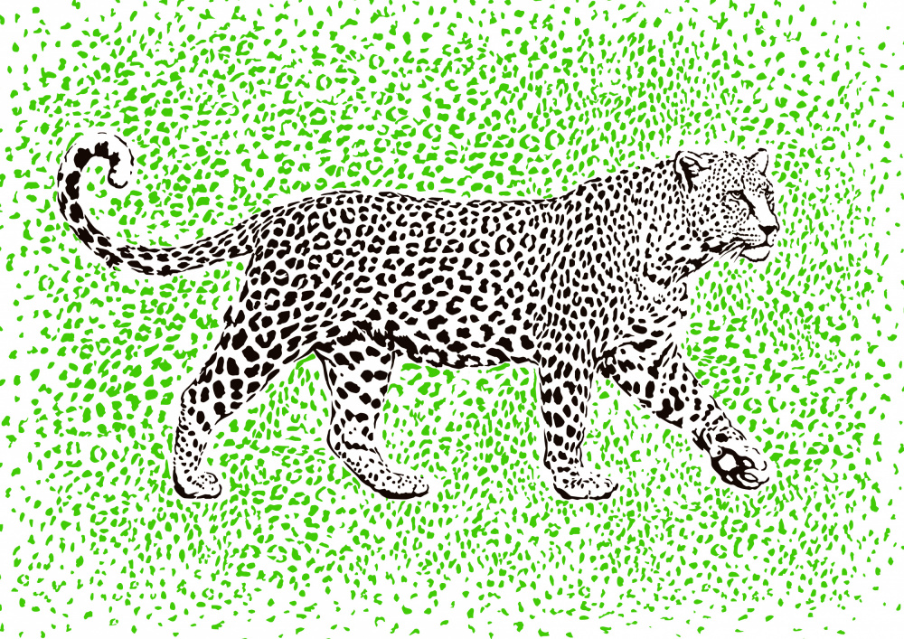 Leopard Rosette camouflage from Carlo Kaminski