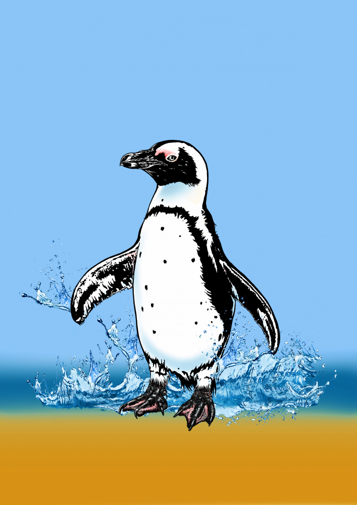 Cute Penguin splashing from Carlo Kaminski