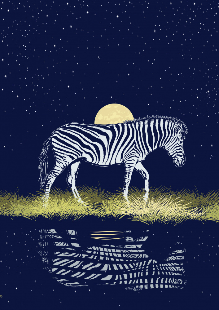 Zebra at Waterhole Moonrise from Carlo Kaminski