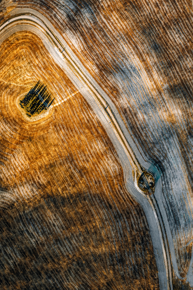 series Tuscany - Lines and Curves from Carmine Chiriaco