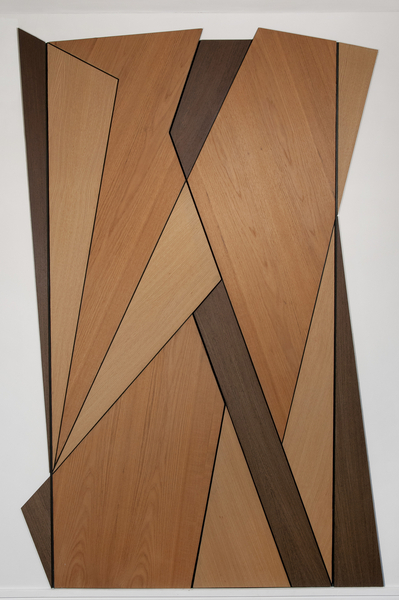Vorticist Doors from Carolyn  Hubbard-Ford