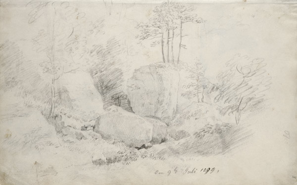 Boulders in Woodland from Caspar David Friedrich