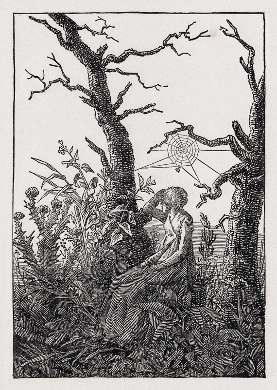 Woman with the cobweb from Caspar David Friedrich