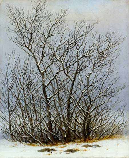 Bushes in the snow from Caspar David Friedrich