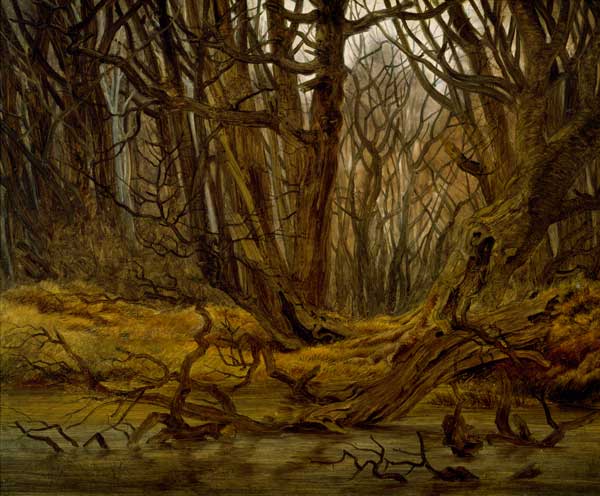 Wald im Spaetherbst from Caspar David Friedrich