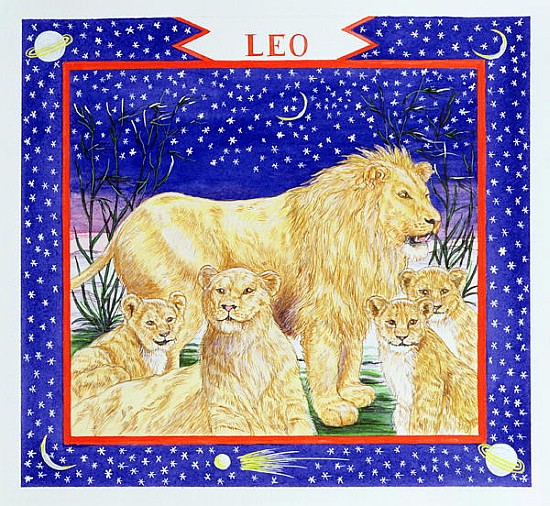 Leo (w/c on paper)  from Catherine  Bradbury