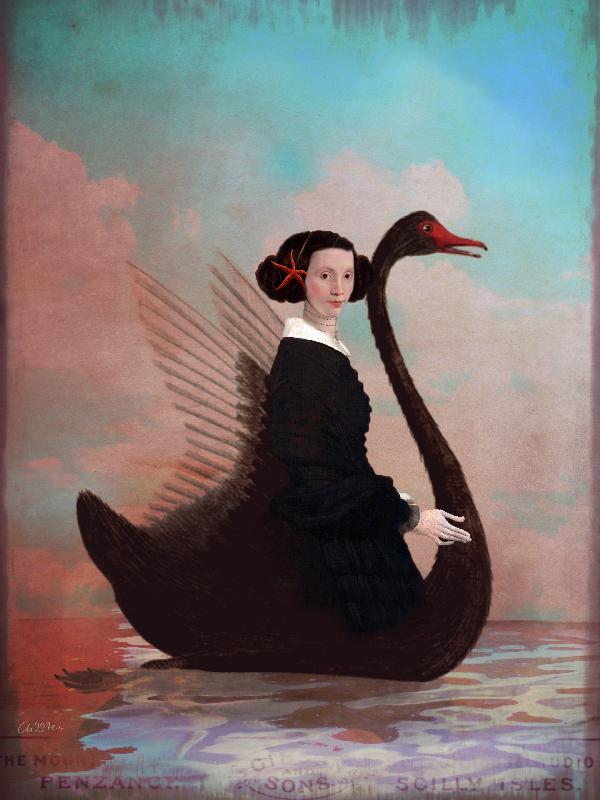 Black Swan from Catrin Welz-Stein