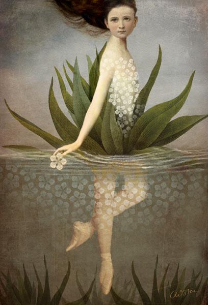 Wasserlilie - Catrin Welz-Stein