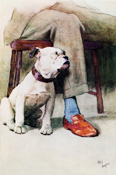 Bulldog (pen & ink & wash on paper) from Cecil Charles Windsor Aldin