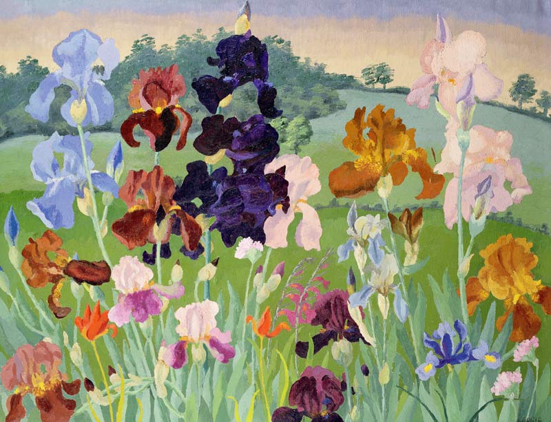 Several Inventions from Cedric Morris