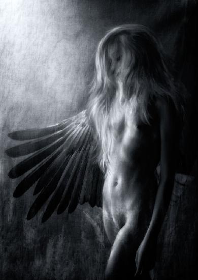 Unleash your wings, unleash your soul...