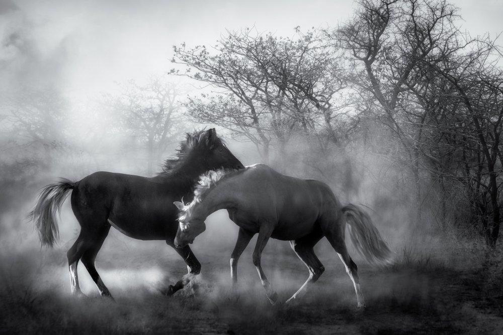 Playing in the dust... from Charlaine Gerber