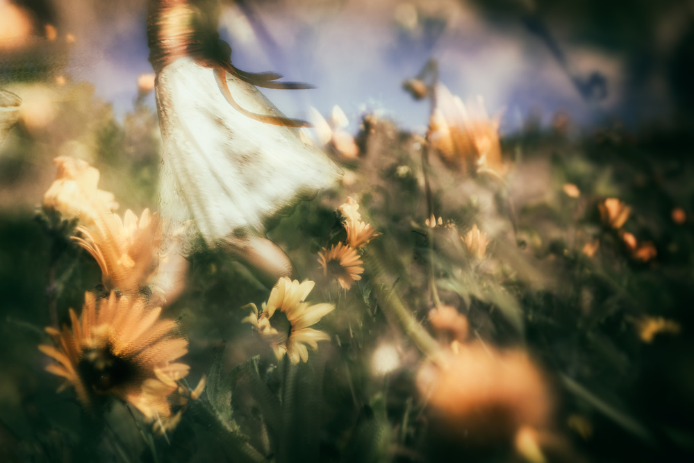 Let the morning time drop its petals on me.. from Charlaine Gerber