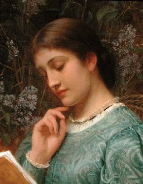 Girl Reading (Possibly Mrs Dickens)