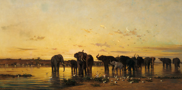 African Elephants from Charles Emile de Tournemine