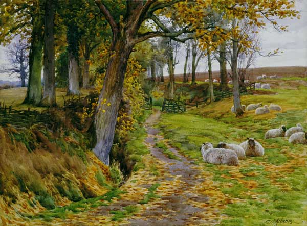 An Autumn Afternoon from Charles James Adams
