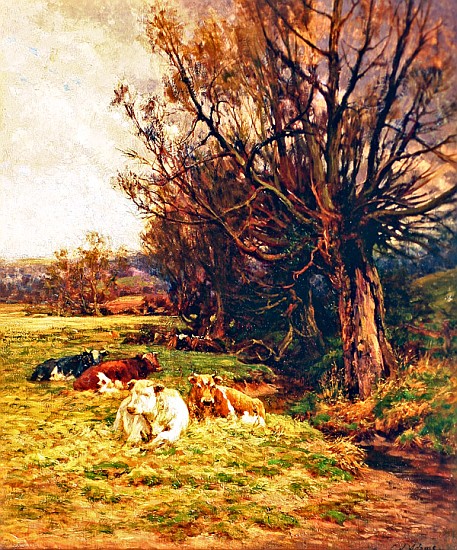 Cattle grazing from Charles James Adams