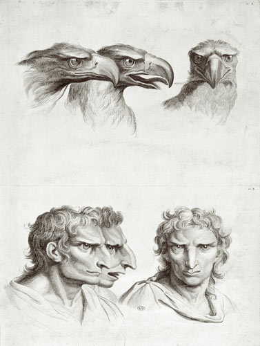 Similarities Between the Head of an Eagle and a Man, from 'Livre de portraiture pour ceux qui commen from Charles Le Brun