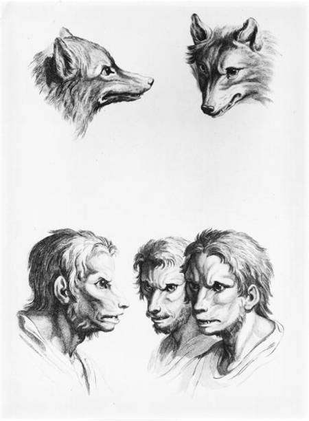 Similarities Between the Head of a Wolf and a Man, from 'Livre de portraiture pour ceux qui commence from Charles Le Brun