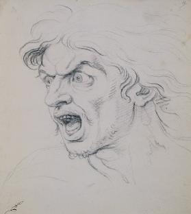 The head of a man screaming in terror, a study for the figure of Darius in 'The Battle of Arbela'