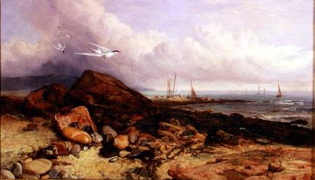 Shore Scene with Fishing Boat and Terns from Charles Napier Hemy