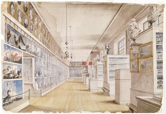 The Long Room, Interior of Front Room in Peale's Museum from Charles Willson Peale