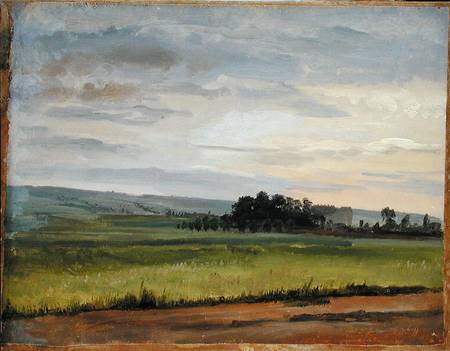 A Cornfield near Dresden from Christian Friedrich Gille