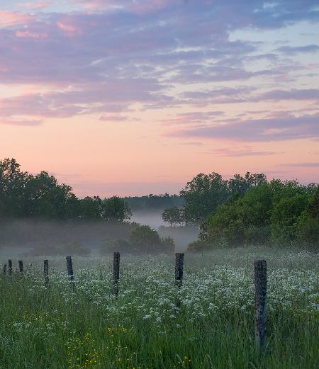 Fog and sunset