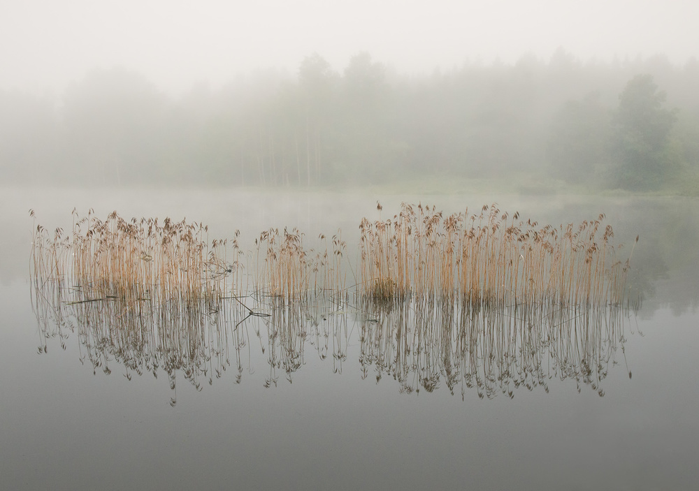 Misty morning from Christian Lindsten