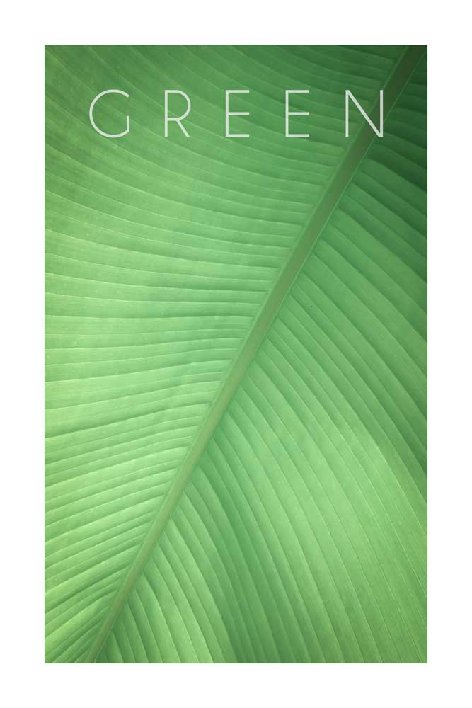 Green 01 from Christian Müringer