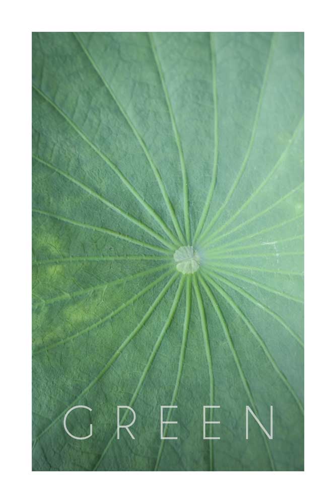 Green 04 from Christian Müringer