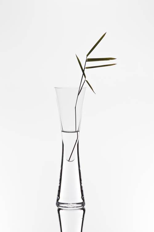 bamboo from Christian Pabst