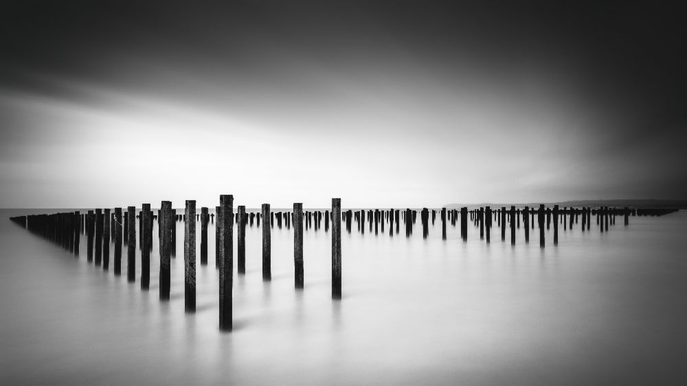 Formation  - Study from Christophe Staelens