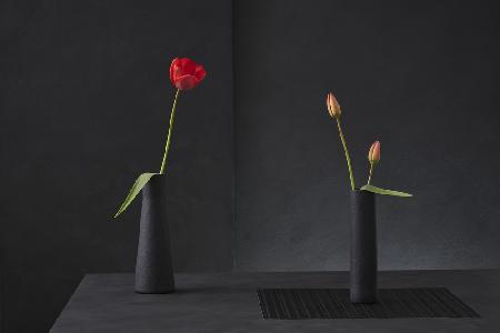 Tulipa Gesneriana N°3