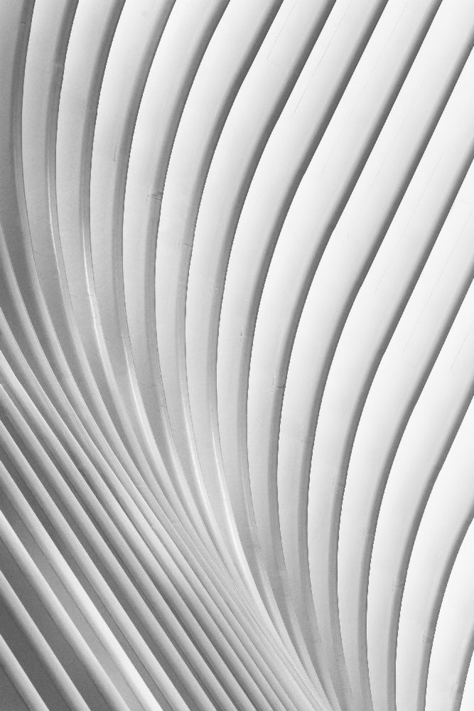 Calatrava Lines from Christopher Budny