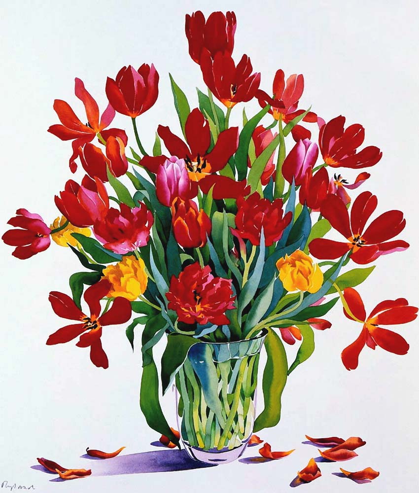 Tulips from Christopher  Ryland