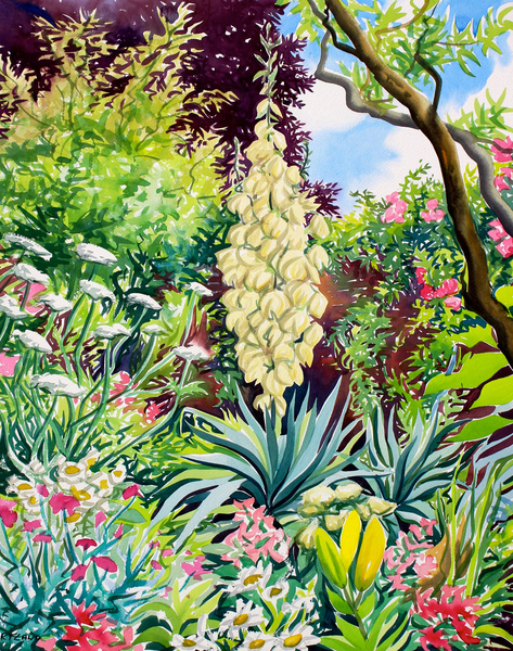 Garden with Flowering Yucca from Christopher  Ryland