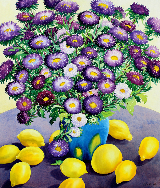 Purple Asters and Lemons from Christopher  Ryland