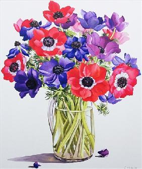 Anemones in a glass jug