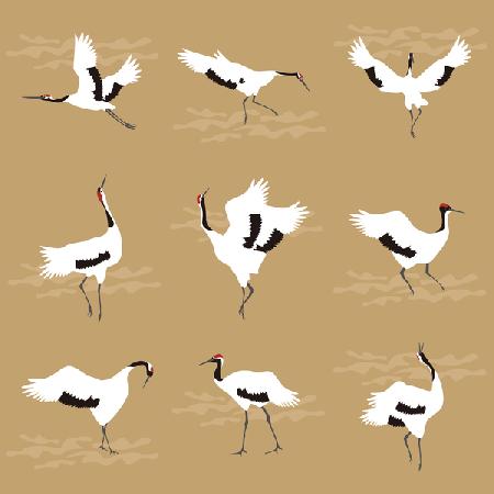 Oriental Cranes