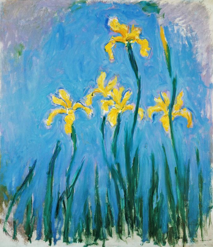 Yellow Iris. from Claude Monet