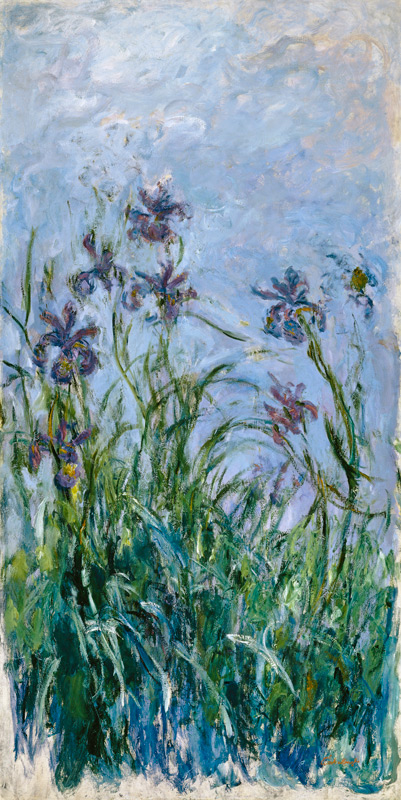 Iris Mauves from Claude Monet