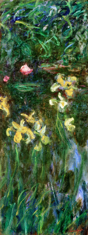 Iris Jaunes. from Claude Monet