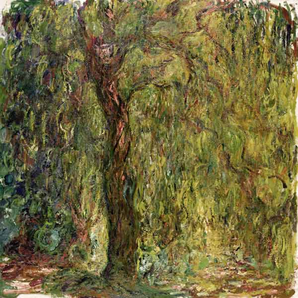 Weeping Willow from Claude Monet