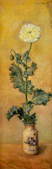 White Poppy from Claude Monet