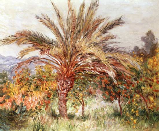 Palm Tree at Bordighera from Claude Monet