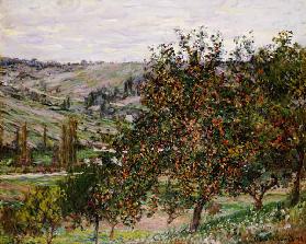 Apple trees at Vetheuil
